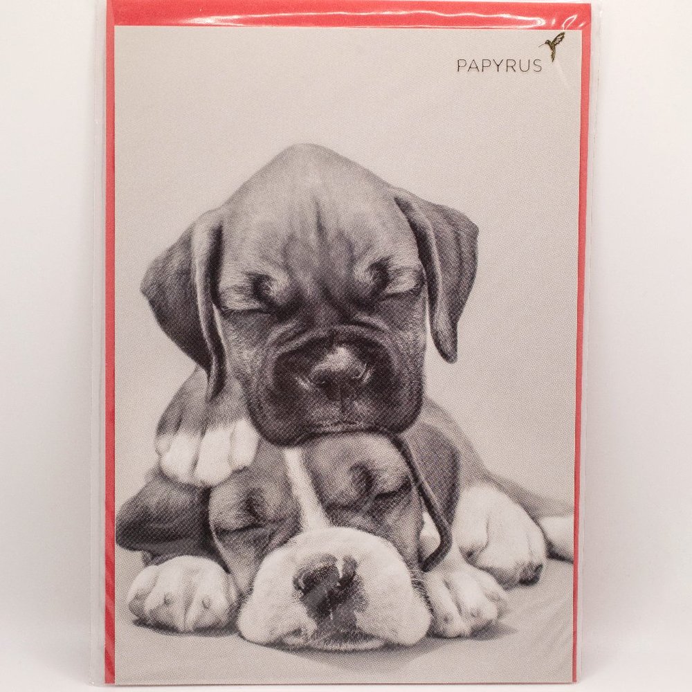 Romance B&W Puppies by Keith Kimberlin Papyrus Card